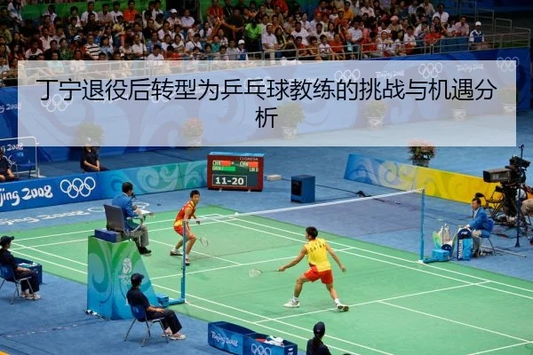 丁宁退役后转型为乒乓球教练的挑战与机遇分析
